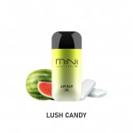 Air Bar MINI Disposable 5% (Master Case of 200)