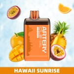 ARTERY CL3 10K Disposable 5% (Display Box of 5)