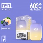 Flum Pebble 6000 Puff Disposable 5% **SINGLE** (Master Case of 200)