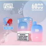 Flum Pebble 6000 Puff Disposable 5% **SINGLE** (Master Case of 200)