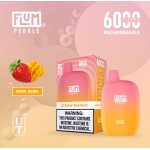Flum Pebble 6000 Puff Disposable 5% **SINGLE** (Master Case of 200)