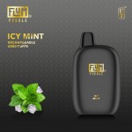Flum Pebble 6000 Puff Disposable 5% **SINGLE** (Master Case of 200)