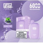 Flum Pebble 6000 Puff Disposable 5% **SINGLE** (Master Case of 200)