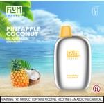 Flum Pebble 6000 Puff Disposable 5% **SINGLE** (Master Case of 200)