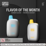 Flum Pebble 6000 Puff Disposable 5% **SINGLE** (Master Case of 200)