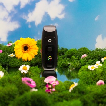 G Pen DASH+ Vaporizer G Pen DASH+ Vaporizer