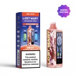 Lost Mary MO20000 PRO Disposable (Display Box of 5) (Master Case of 200)