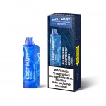 Lost Mary MO5000 Disposable  (Master Case of 200)