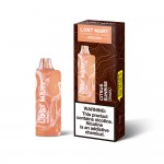 Lost Mary MO5000 Disposable  (Master Case of 200)