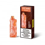 Lost Mary MO5000 Disposable  (Master Case of 200)