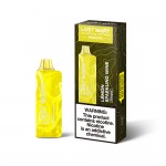 Lost Mary MO5000 Disposable  (Master Case of 200)