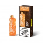 Lost Mary MO5000 Disposable  (Master Case of 200)