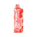 Strawberry Watermelon Ice