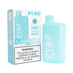Pyro 6000 Disposable 5%