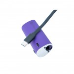 Stache SKRUIT Cartridge Battery